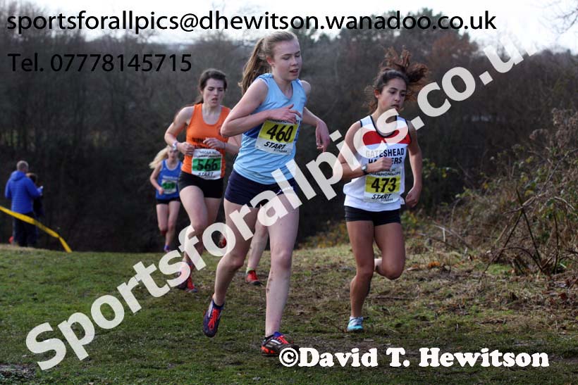 Womens under-17s and 20s North Eastern Cross Country, Aykley Heads, Durham. Photo: David T. Hewitson/Sports for All Pics
